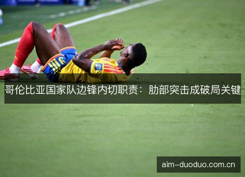 哥伦比亚国家队边锋内切职责：肋部突击成破局关键