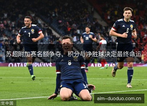 苏超附加赛名额争夺，积分与净胜球决定最终命运